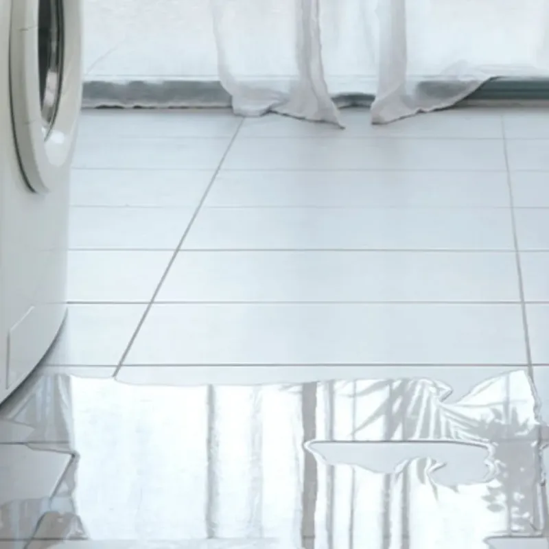 Appliance Leak Cleanup in Rosiclare, IL