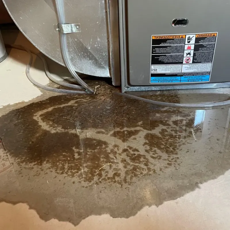 Pipe Burst and Leak Restoration in Rosiclare, IL