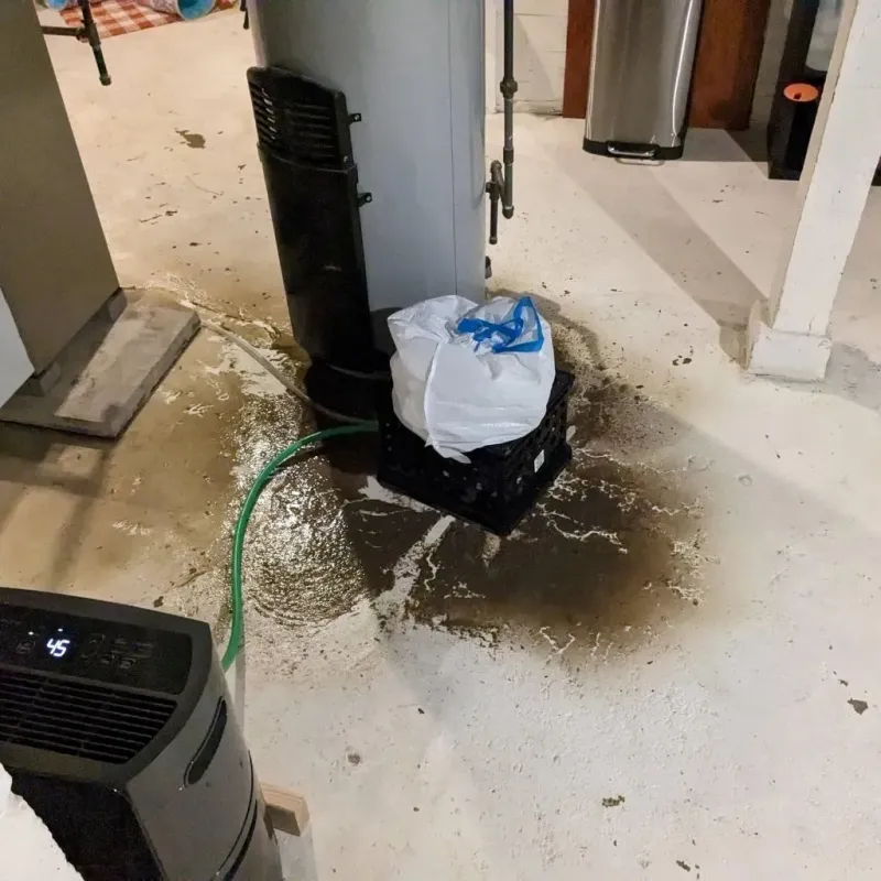Sewage Backup Cleanup Service in Rosiclare, IL